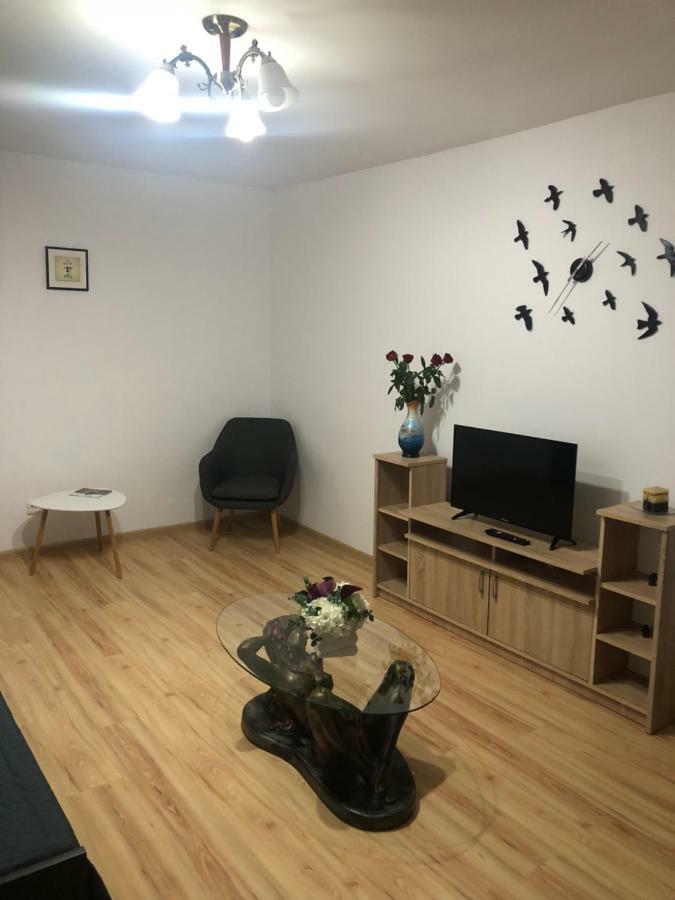 Apartament Kiseleff Drobeta Turnu Severin Exteriér fotografie