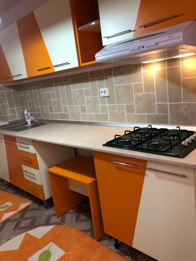 Apartament Kiseleff Drobeta Turnu Severin Exteriér fotografie