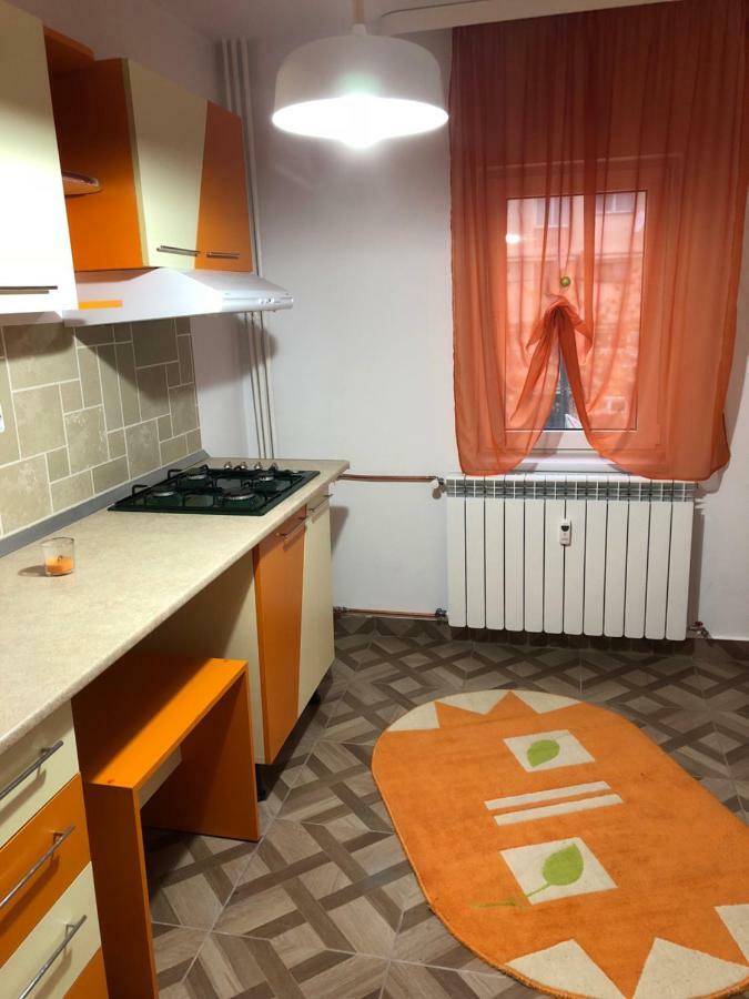 Apartament Kiseleff Drobeta Turnu Severin Exteriér fotografie